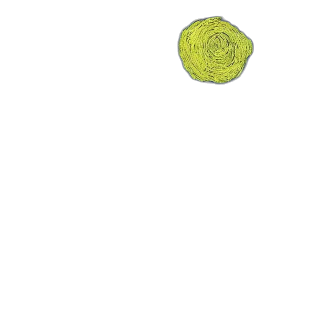 food, flower, umbrella, tree transparent PNG cut-out