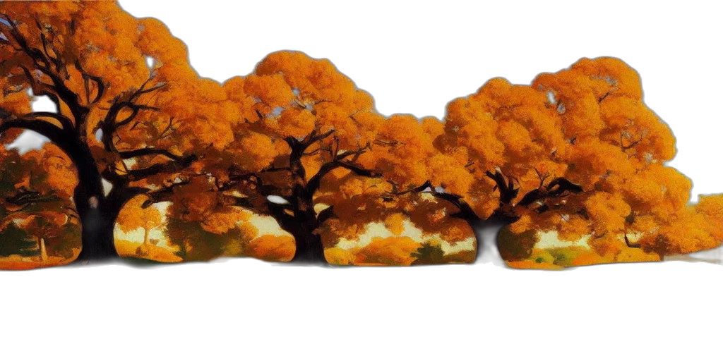 tree, crown, shoes, hat transparent PNG cut-out