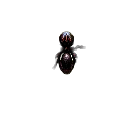 animal, creature, robot, jewelry transparent PNG cut-out