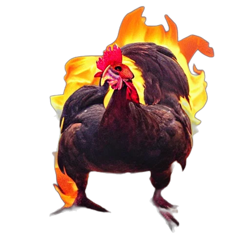 animal, dragon, food, creature transparent PNG cut-out