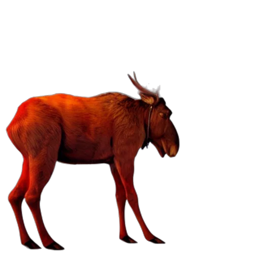 animal, creature, dragon, crown transparent PNG cut-out