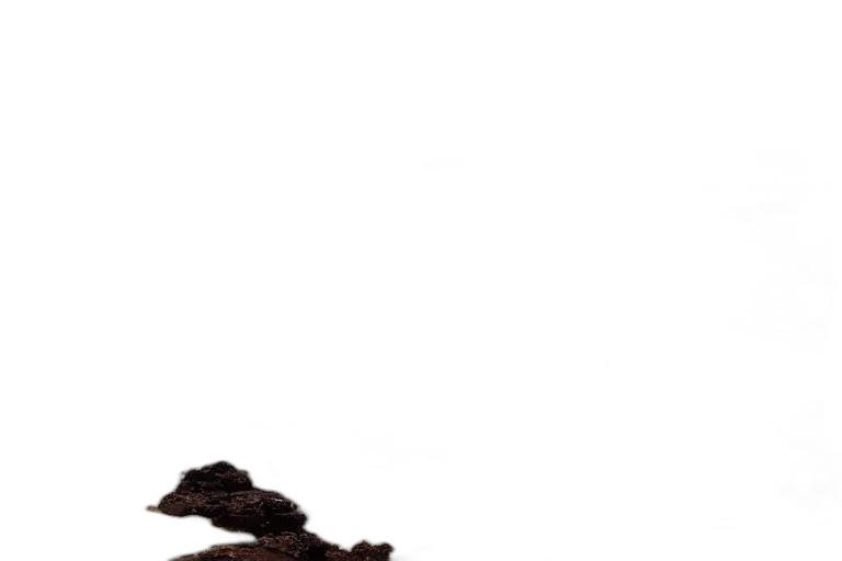 shoes, dragon, hair, food transparent PNG cut-out