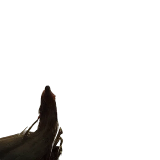 weapon, staff, shoes, sword transparent PNG cut-out