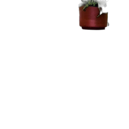 flower, bottle, staff, tree transparent PNG cut-out