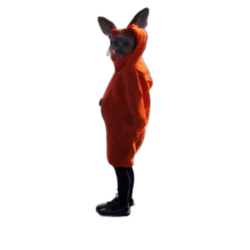 animal, creature, jacket, dress transparent PNG cut-out