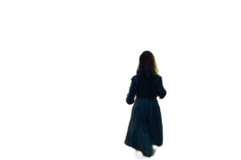 dress, jacket, staff, hair transparent PNG cut-out