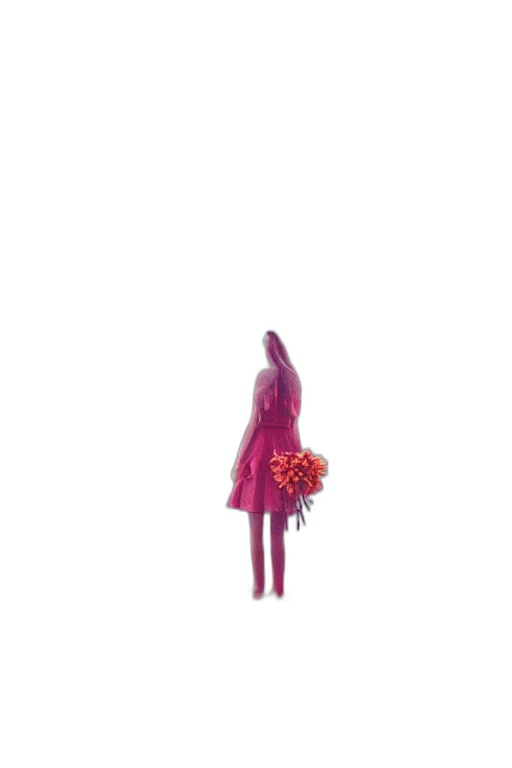 dress, flower, hair, crown transparent PNG cut-out