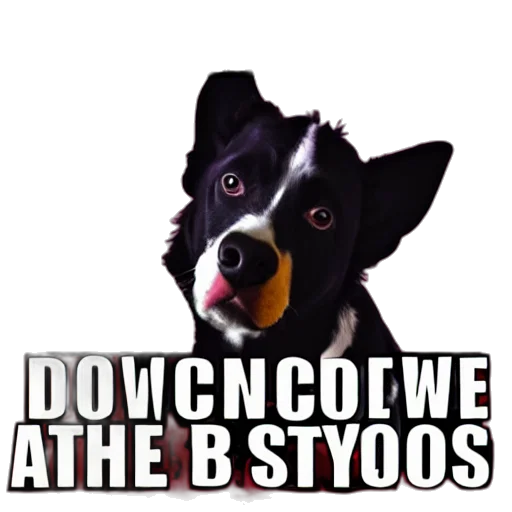 dog, philosopher, style, cowboy transparent PNG cut-out