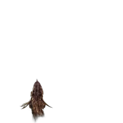 hair, hat, staff, animal transparent PNG cut-out