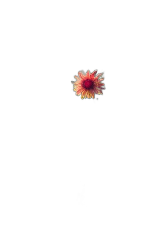 flower, crown, jewelry, staff transparent PNG cut-out