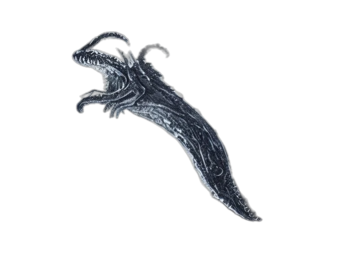 dragon, hair, animal, creature transparent PNG cut-out