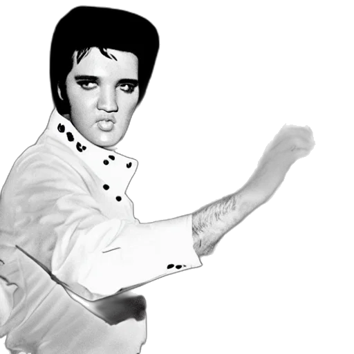 photorealistic, cartoon, elvis, presley transparent PNG cut-out
