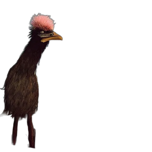 animal, creature, hair, staff transparent PNG cut-out