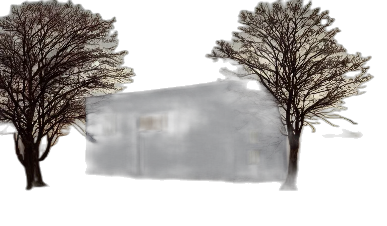 tree, building, 3d render, photorealistic transparent PNG cut-out