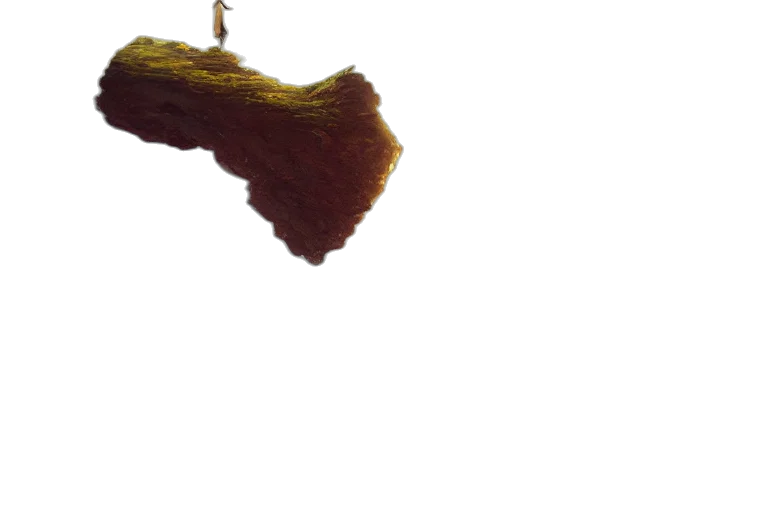 hair, staff, dress, hat transparent PNG cut-out