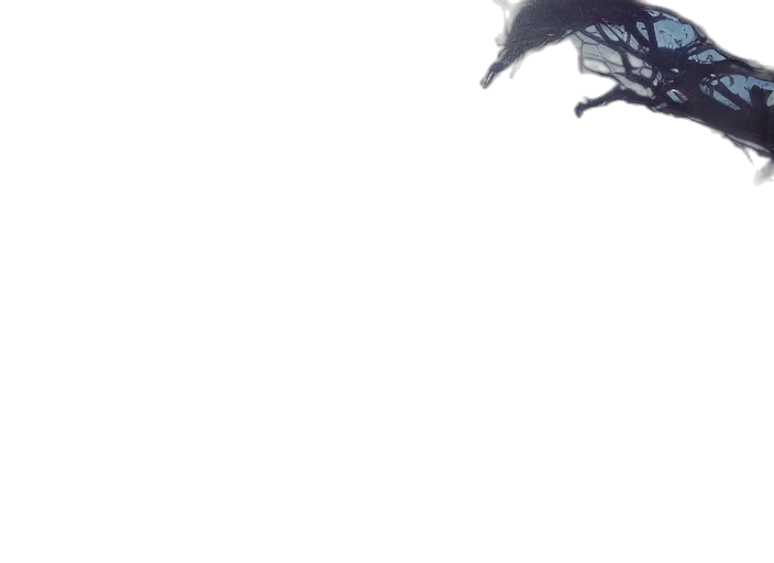 dragon, creature, animal, mask transparent PNG cut-out