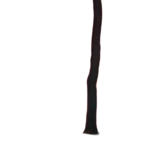 staff, sword, weapon, hair transparent PNG cut-out