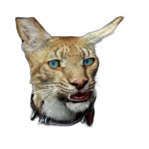 animal, creature, staff, mask transparent PNG cut-out