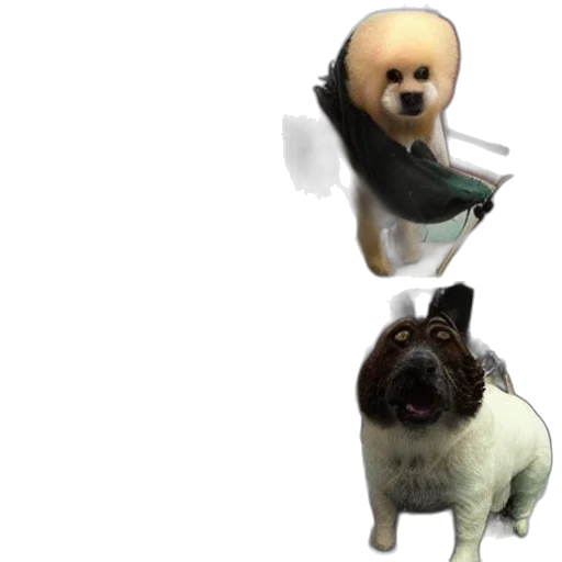 animal, staff, creature, 3d render transparent PNG cut-out