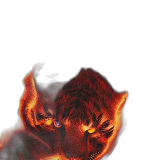 dragon, mask, face, animal transparent PNG cut-out