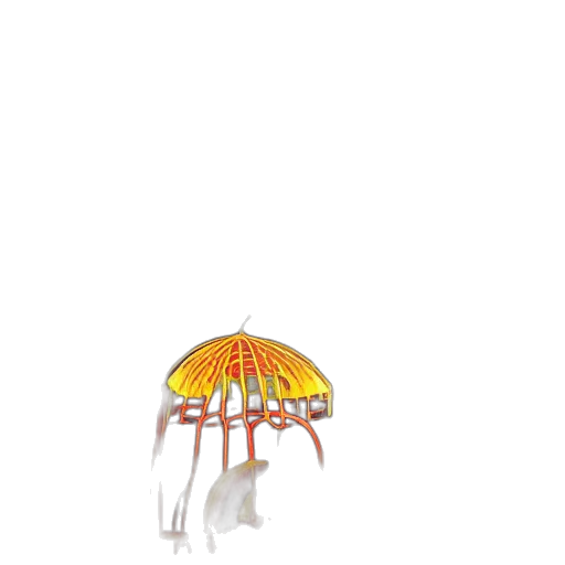 umbrella, hat, crown, creature transparent PNG cut-out