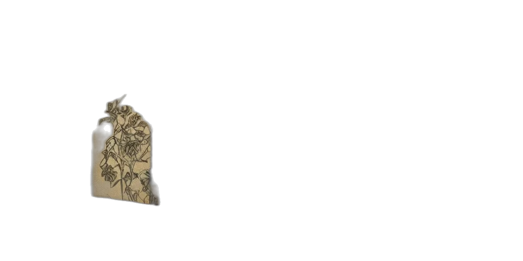 jacket, dress, hat, weapon transparent PNG cut-out