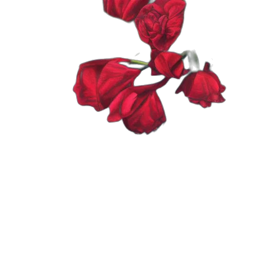 flower, crown, jewelry, staff transparent PNG cut-out