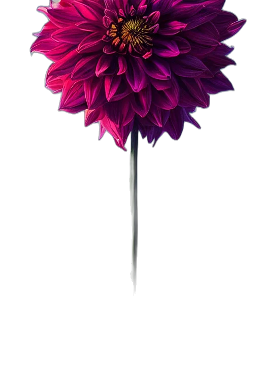umbrella, flower, staff, crown transparent PNG cut-out