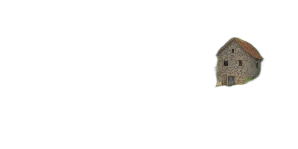 hat, hair, animal, crown transparent PNG cut-out