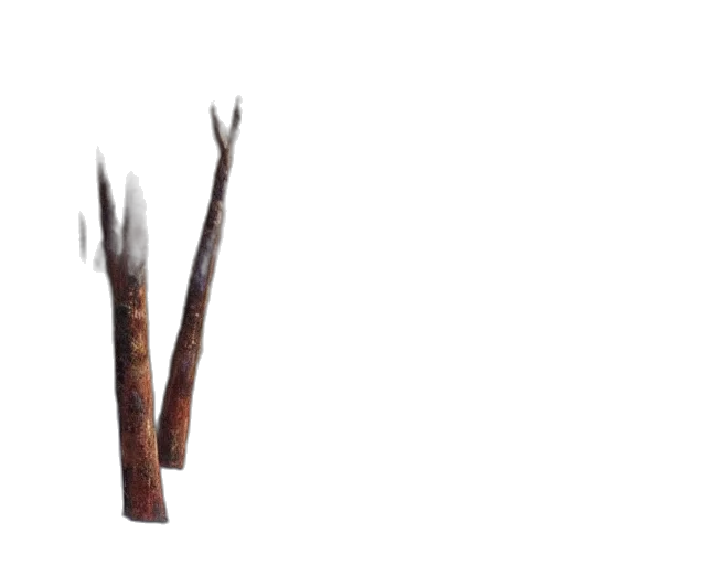 staff, hair, weapon, tree transparent PNG cut-out