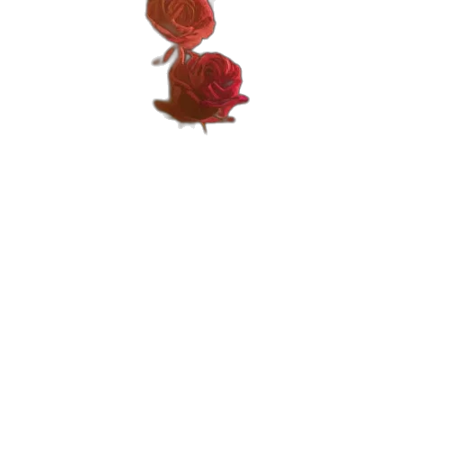flower, jewelry, food, crown transparent PNG cut-out