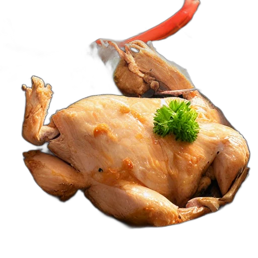 food, animal, weapon, creature transparent PNG cut-out