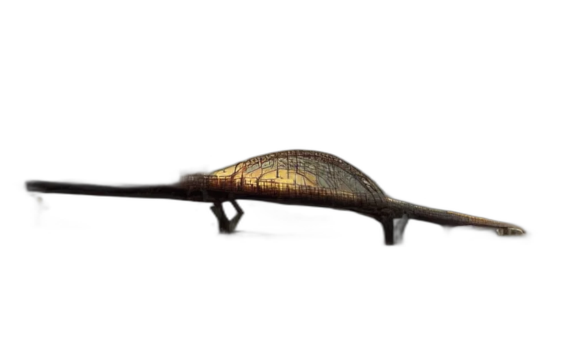 staff, dragon, hat, sword transparent PNG cut-out
