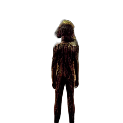 dress, creature, jacket, staff transparent PNG cut-out
