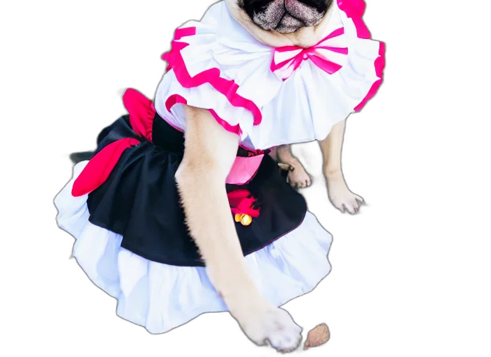 dress, animal, creature, staff transparent PNG cut-out
