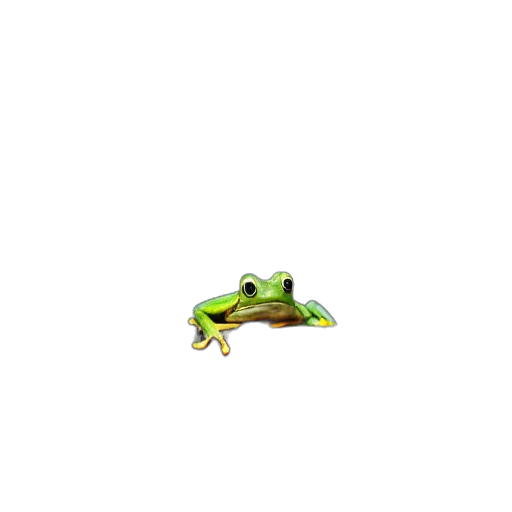 animal, creature, dragon, staff transparent PNG cut-out