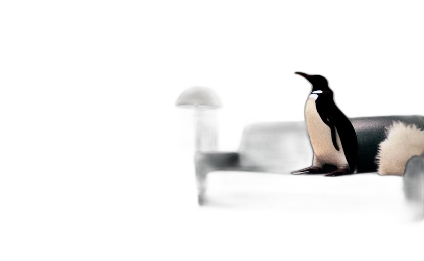 furniture, animal, creature, robot transparent PNG cut-out