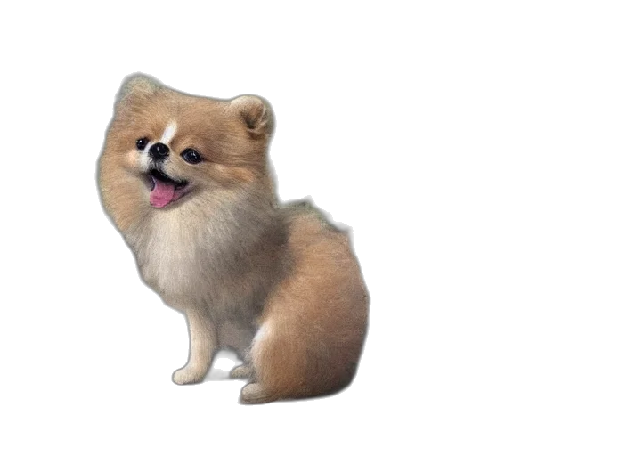animal, creature, staff, face transparent PNG cut-out