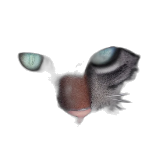 creature, mask, animal, face transparent PNG cut-out