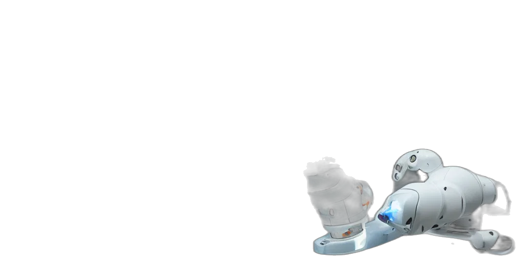 shoes, crown, robot, bottle transparent PNG cut-out