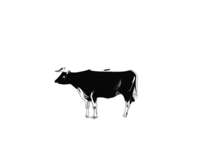 animal, food, jewelry, creature transparent PNG cut-out