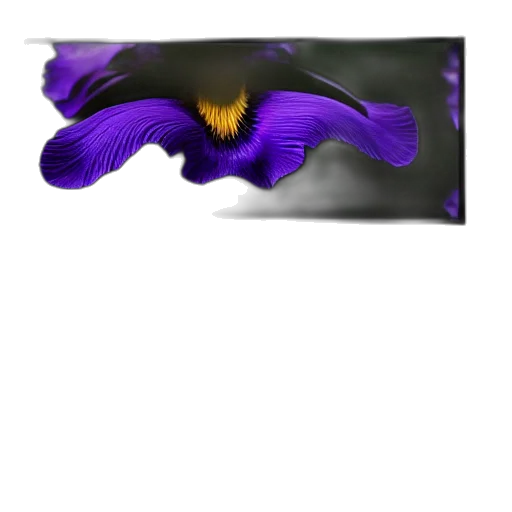 crown, mask, flower, dragon transparent PNG cut-out