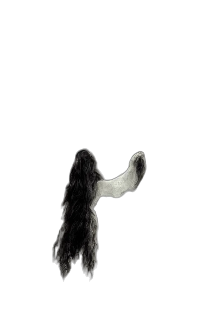hair, creature, animal, shoes transparent PNG cut-out
