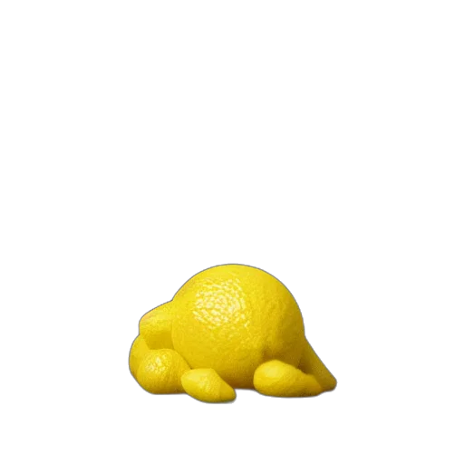 animal, food, creature, hat transparent PNG cut-out