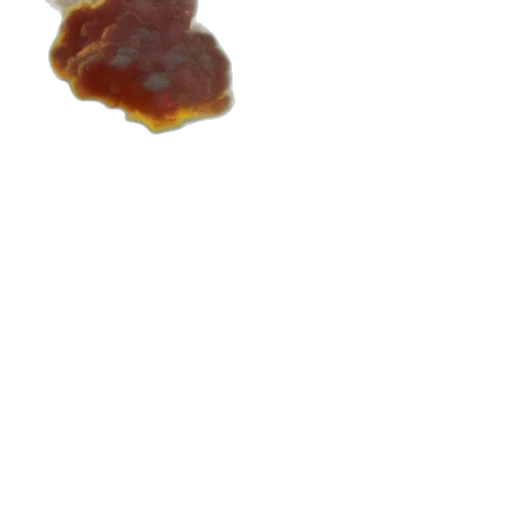food, crown, hair, dragon transparent PNG cut-out