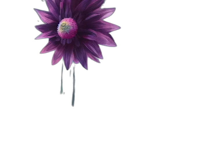 flower, umbrella, crown, jewelry transparent PNG cut-out