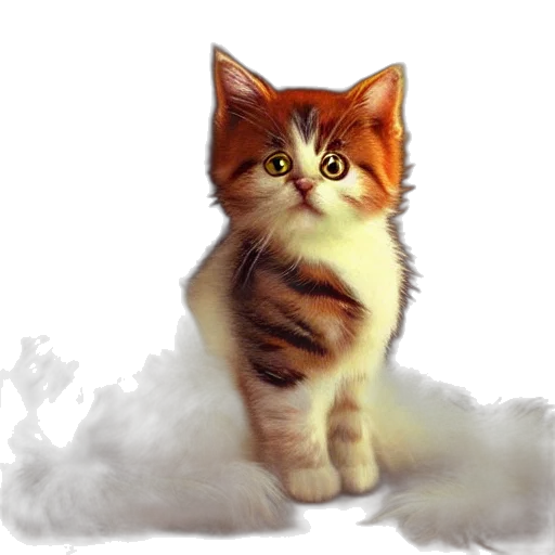 staff, animal, creature, photorealistic transparent PNG cut-out