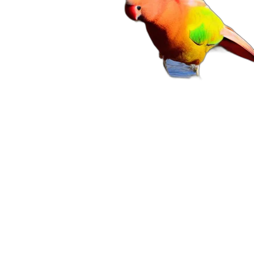 animal, staff, weapon, creature transparent PNG cut-out