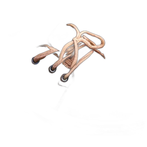 jewelry, staff, hair, weapon transparent PNG cut-out