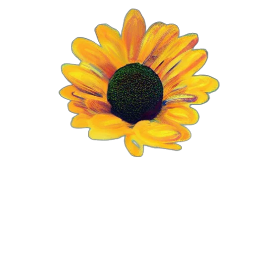 flower, jewelry, crown, staff transparent PNG cut-out